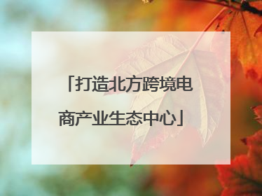 打造北方跨境电商产业生态中心